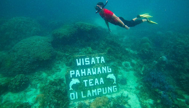 Foto Sandiaga Uno Snorkeling di Pulau Pahawang Lampung  - Bagian 1