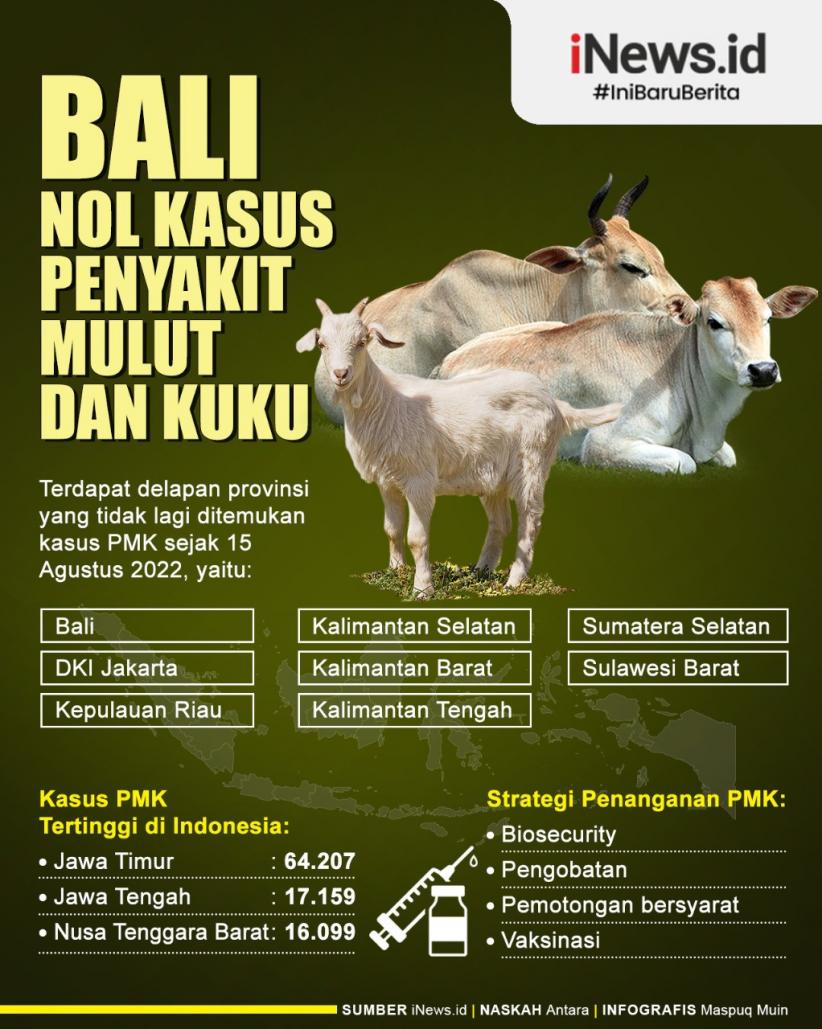 Infografis Bali Nol Kasus Penyakit Mulut dan Kuku