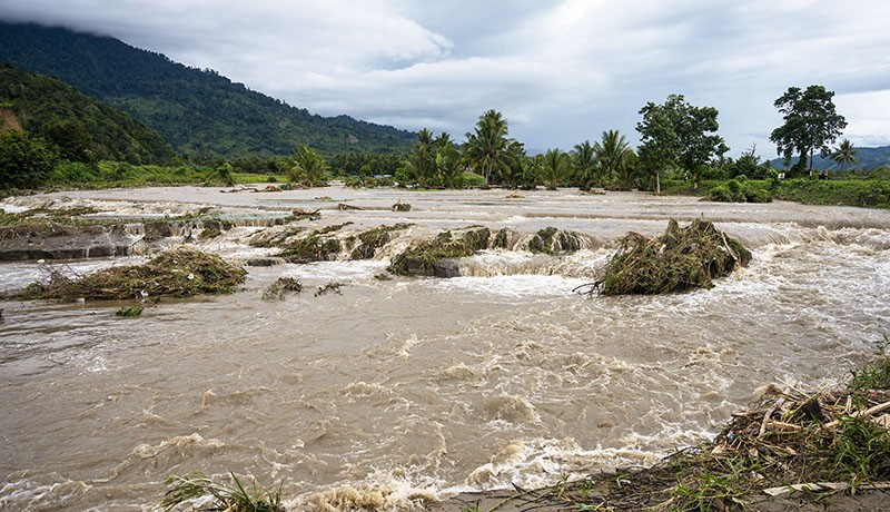 Ratusan Hektare Sawah Tergenang-Jembatan Putus akibat Banjir di Sigi - Bagian 1