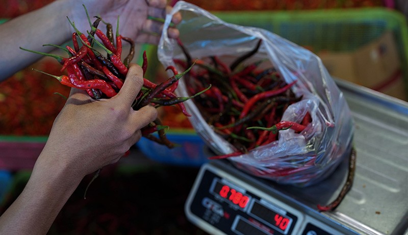 Harga Cabai di Kendari Melambung Tinggi - Bagian 2