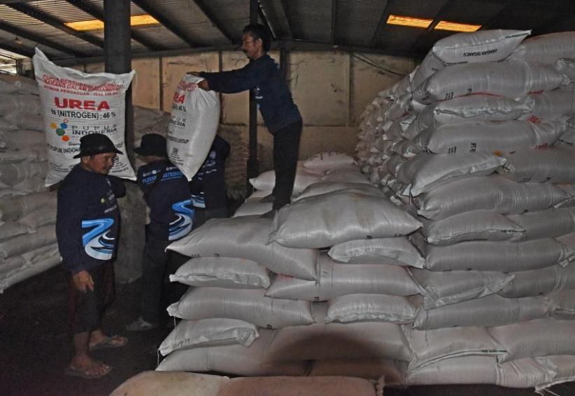 Cukup Hingga Akhir 2022, Stok Pupuk Bersubsidi di Banten Capai 12 Ribu Ton - Bagian 2
