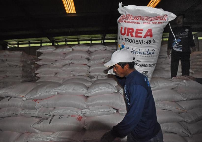 Cukup Hingga Akhir 2022, Stok Pupuk Bersubsidi di Banten Capai 12 Ribu Ton - Bagian 1