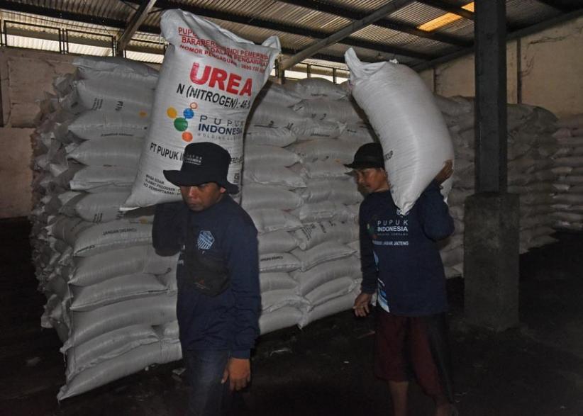 Cukup Hingga Akhir 2022, Stok Pupuk Bersubsidi di Banten Capai 12 Ribu Ton - Bagian 3