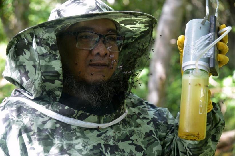  Permintaan Madu Kelulut di Aceh Terus Meningkat - Bagian 1