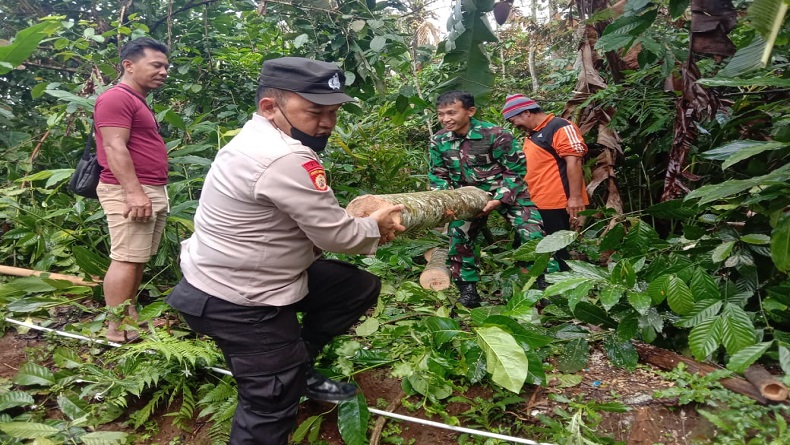Atap Rumah Warga di Banjarnegara Rusak akibat Tertimpa Pohon Tumbang