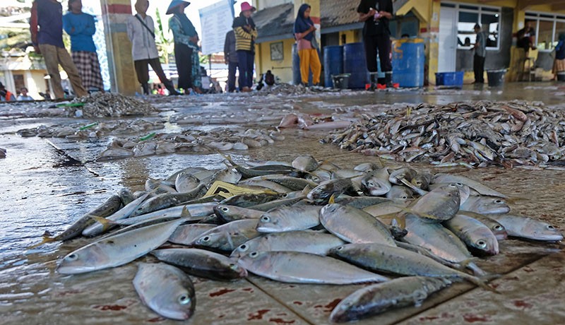 Cuaca Buruk di Laut Jawa, Ikan Hasil Tangkapan Nelayan Turun 50 Persen - Bagian 1
