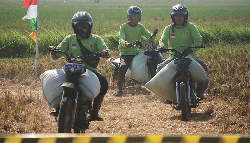 Seru! Tukang Ojek Adu Cepat Ngebut Bawa Gabah di Tengah Sawah - Bagian 1