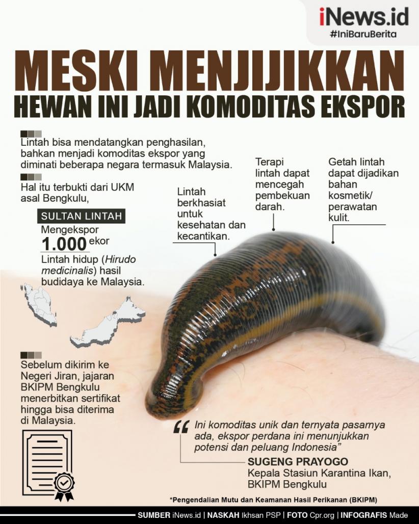 Infografis Meski Menjijikan, Hewan Ini Ternyata Jadi Komoditas Ekspor 