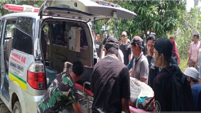 2 Korban Longsor Tambang Emas di Kotabaru Ditemukan, 2 Masih Dicari