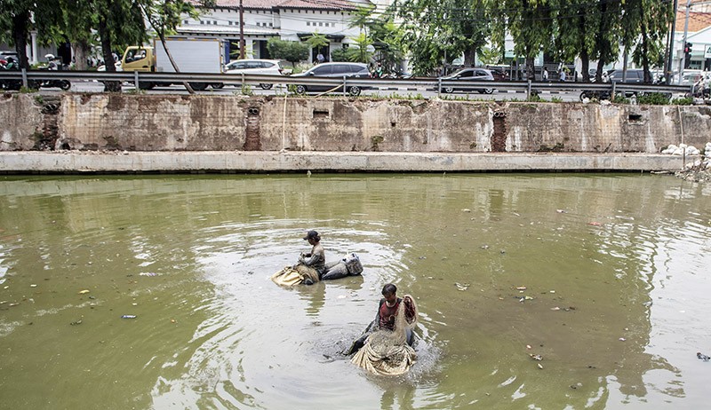 Makan Limbah, Ikan Sapu-Sapu Hidup di Sungai Berbahaya jika Dikonsumsi - Bagian 3