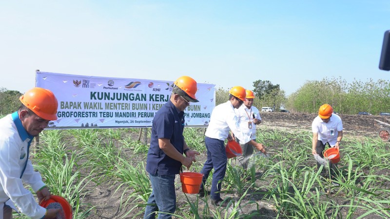 Kementerian BUMN Dorong Perhutani Tingkatkan Produksi Gula Nasional - Bagian 1