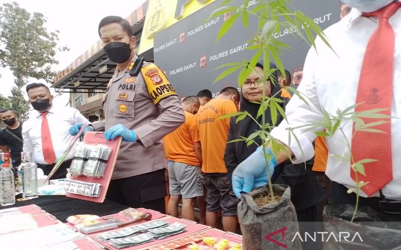 Polisi Telusuri Dugaan Ladang Ganja di Cisurupan Garut  