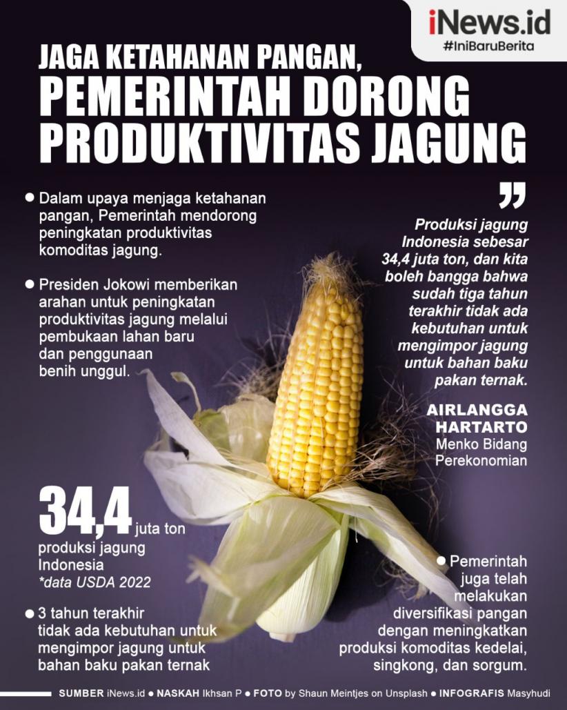 Infografis Jaga Ketahanan Pangan, Pemerintah Dorong Produktivitas Jagung