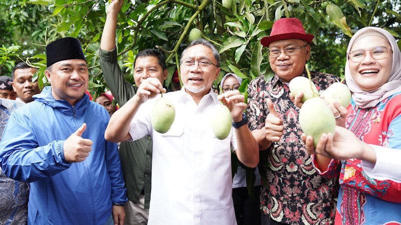 Mendag Zulhas Lepas Ekspor Perdana dan Borong 1 Ton Mangga Indramayu - Bagian 2