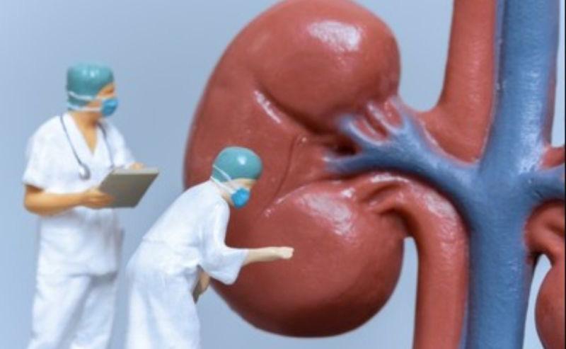 Dinkes Kalsel Catat 5 Kasus Kematian akibat Gagal Ginjal pada Anak