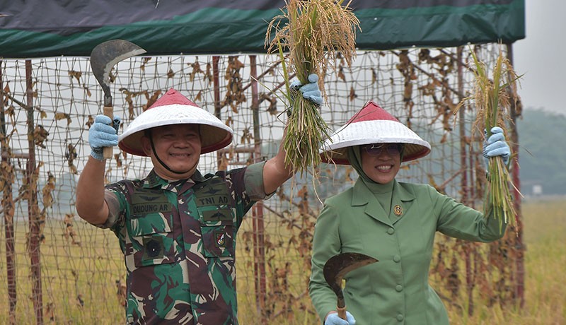 Potret Jenderal Dudung Pakai Caping Merah Putih Panen Jagung dan Naik Traktor - Bagian 3