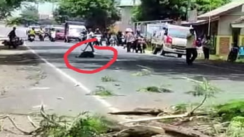  Innalillahi, Pemotor di Majalengka Tewas Terkapar usai Tabrak Pohon Tumbang