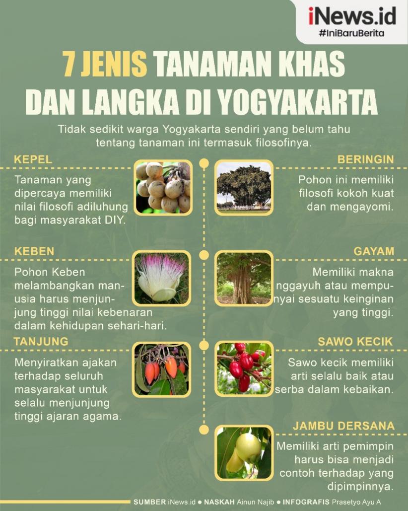 Infografis 7 Jenis Tanaman Khas dan Langka di Yogyakarta