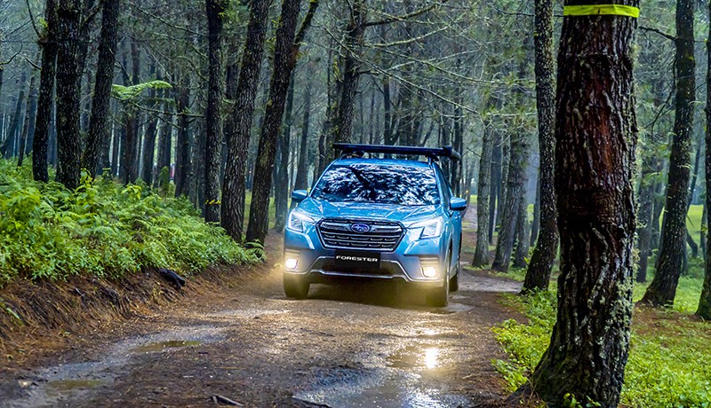 Menikmati Sensasi Berkendara dengan 2 SUV Subaru, Mendaki Lewati Hutan Pinus - Bagian 1