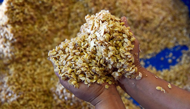 Pemerintah Akan Impor 350.000 Ton Kedelai dari AS dan Argentina - Bagian 1