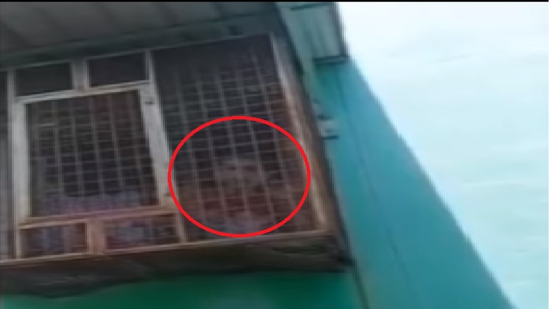 Viral Remaja Tebingtinggi Diduga Dikurung Sang Bibi, Cerita ke Warga Lewat Jendela Besi