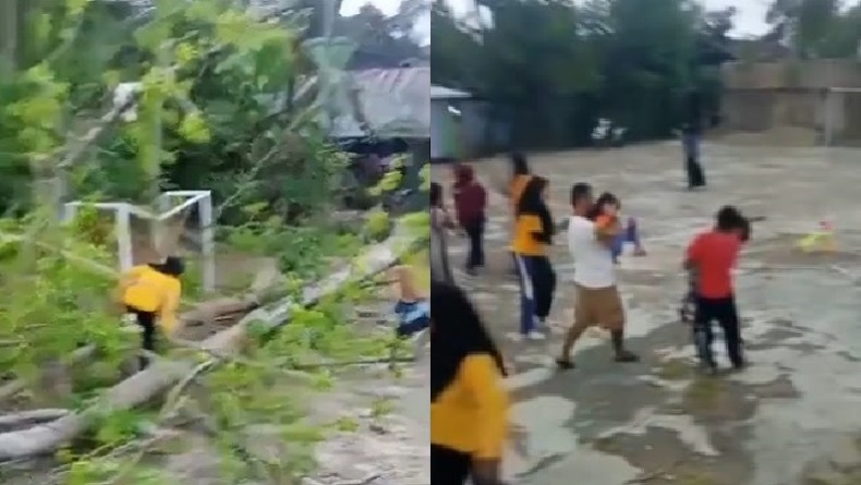 2 Anak dan 1 Perempuan Dewasa Luka Tertimpa Pohon Tumbang di Sinjai Utara