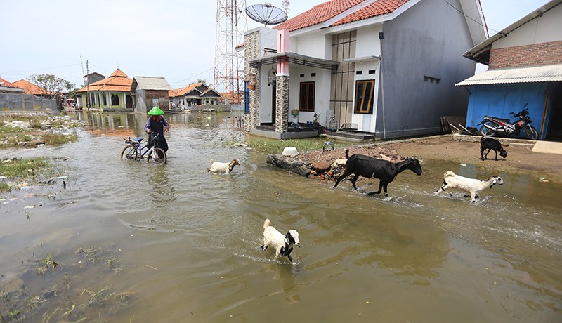 Banjir Rob Rendam Kawasan Pemakaman di Indramayu - Bagian 2