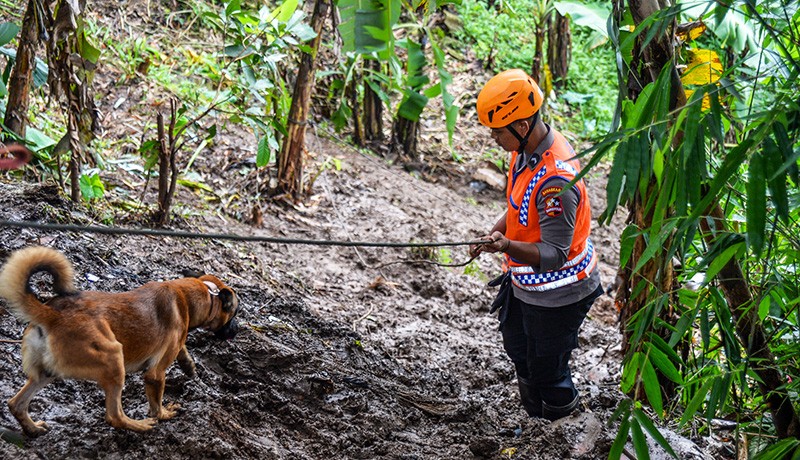 TNI Polri Kerahkan Anjing Pelacak Cari Korban Gempa Cianjur - Bagian 2