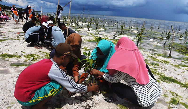 Penanaman 15.000 Mangrove di Pesisir Wakatobi - Bagian 2