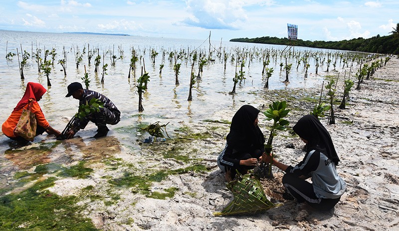 Penanaman 15.000 Mangrove di Pesisir Wakatobi - Bagian 1