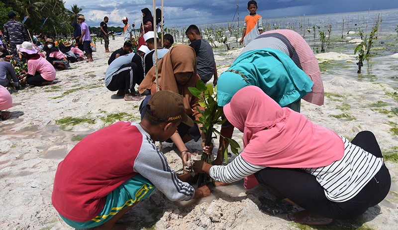 Penanaman 15.000 Mangrove di Pesisir Wakatobi - Bagian 3