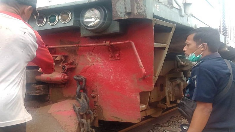 Kerbau Tabrak Kereta Api di Petak Jalan Bumiayu-Linggapura, Ini Dampaknya