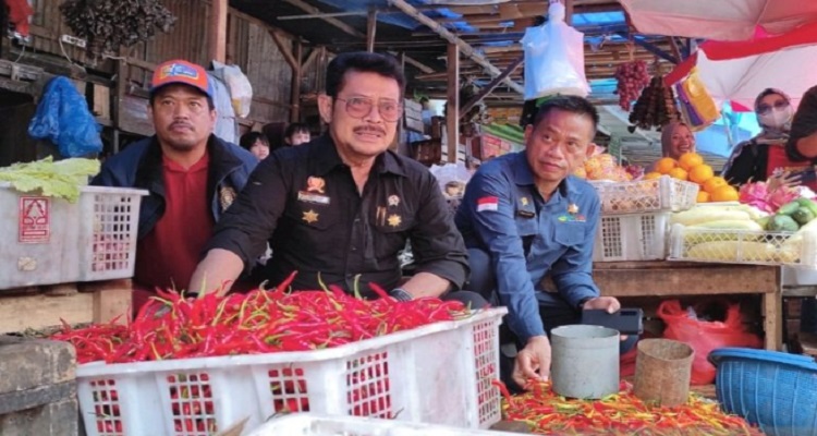 Pantau Bahan Pokok di Makassar, Mentan Pastikan Stok Cukup