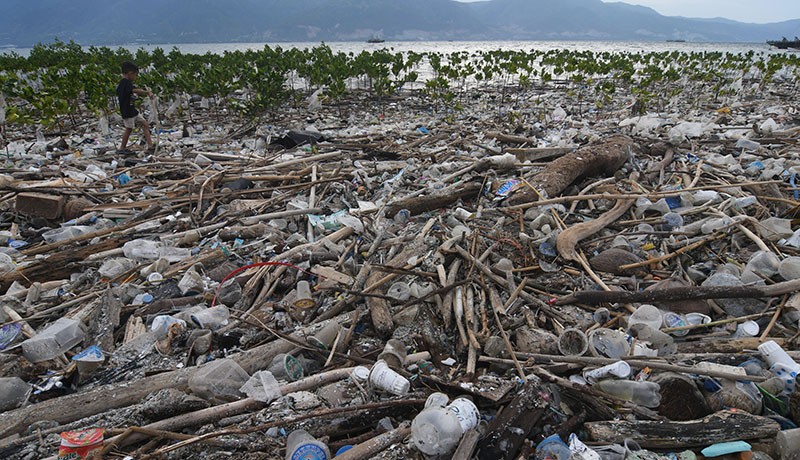 Pantai Palu Tercemar Lautan Sampah, Ancam Tanaman Mangrove - Bagian 2