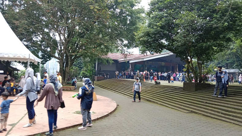 Pemkot Bandung Layangkan Surat Teguran, Minta Kebun Binatang Segera Dikosongkan