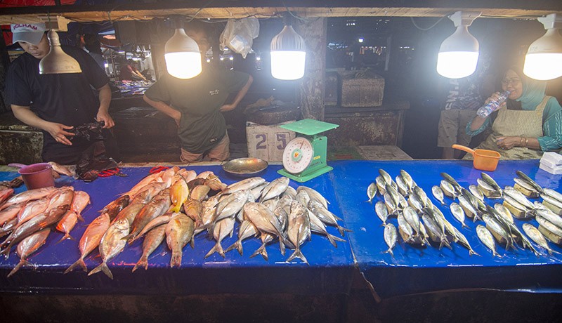 Pasokan Ikan Berkurang akibat Cuaca Buruk - Bagian 1