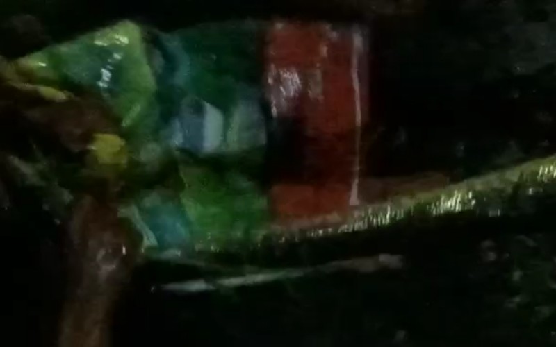 Ngeri, Ular Sanca 4 Meter Ganti Kulit di Belakang Rumah Bikin Geger Warga Palembang