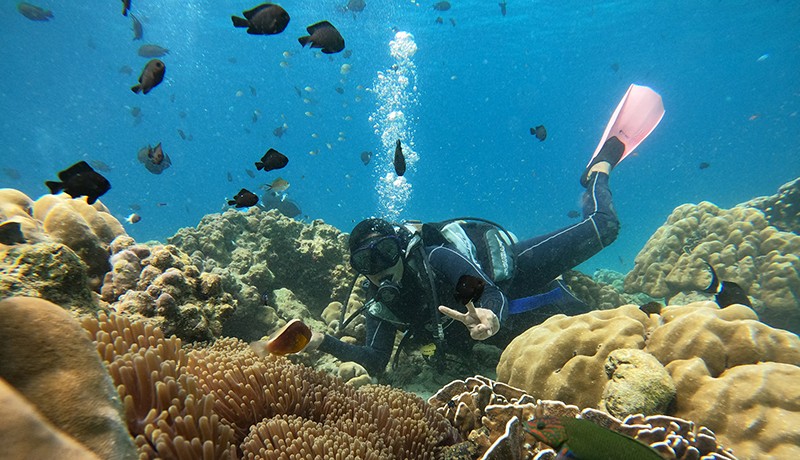 Juara Wisata Air, Begini Pesona Keindahan Bawah Laut Pulau Rubiah Sabang - Bagian 1