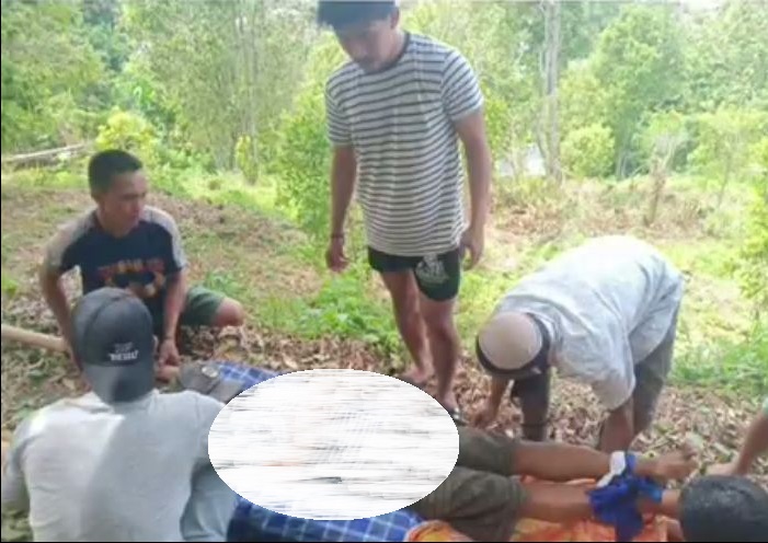 Begadang Main Game hingga Pagi, Pria Ini Tewas saat Memetik Cengkih 