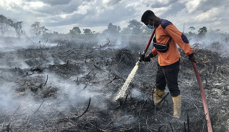 Kebakaran 20 Hektare Lahan Gambut di Pangkalan Bun - Bagian 1