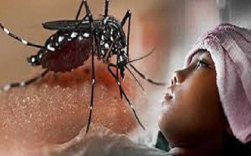Waspada Musim Pancaroba, 270 Kasus DBD Ditemukan di Cimahi Tahun Ini