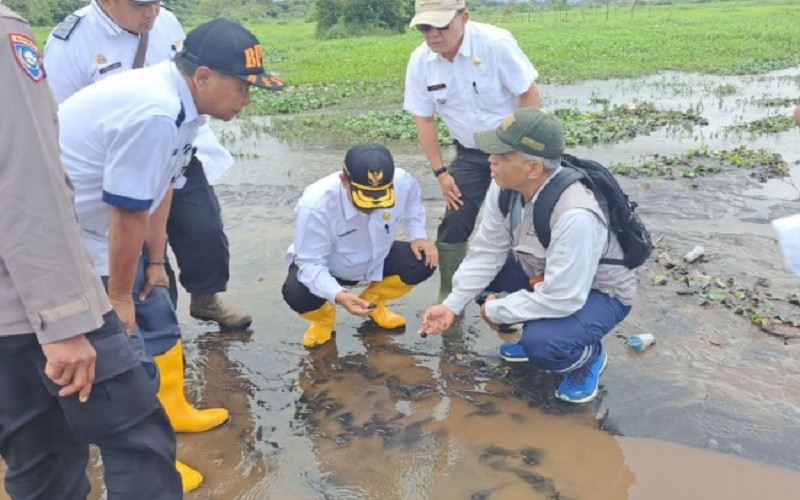 Tertutup Material Erupsi Gunung Kerinci, 10 Hektare Sawah Warga Tak Bisa Digarap