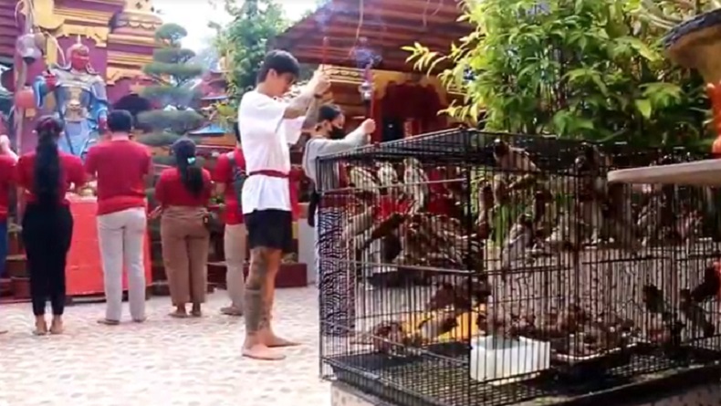 Berkah Imlek, Penjual Burung di Denpasar Diserbu Pembeli 