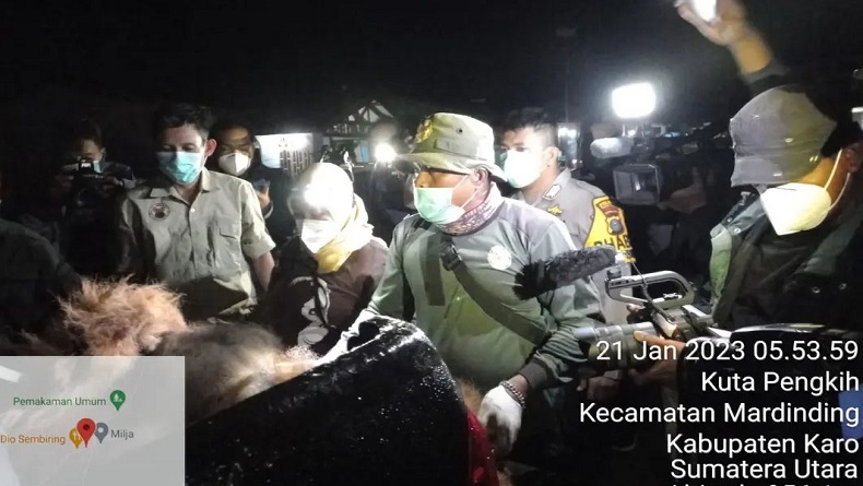 Heboh Orang Utan Masuk ke Perkebunan di Karo Ditangkap Warga, Begini Kondisinya 