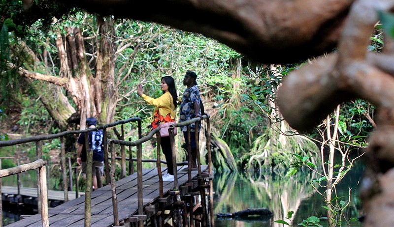 Viral Hutan Negeri Dongeng Dikelilingi Keindahan Danau di Biak Papua - Bagian 2