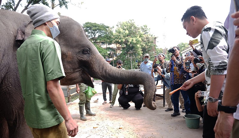 Foto Solo Safari Resmi Dibuka - Bagian 1