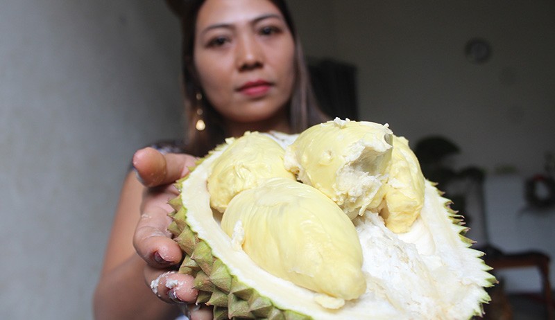 Berburu Durian Mbah Woro Berasal dari Pohon Usia 200 Tahun, Segini Harganya - Bagian 1