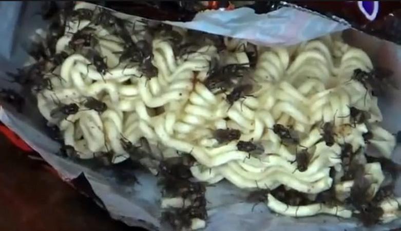 Ngeri, Ribuan Hama Lalat Serang Ratusan Rumah 2 Desa di Grobogan