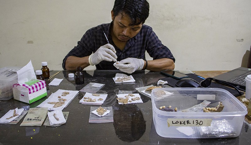 Konservasi Kerangka Manusia Purba Berusia 7.200 Tahun - Bagian 3