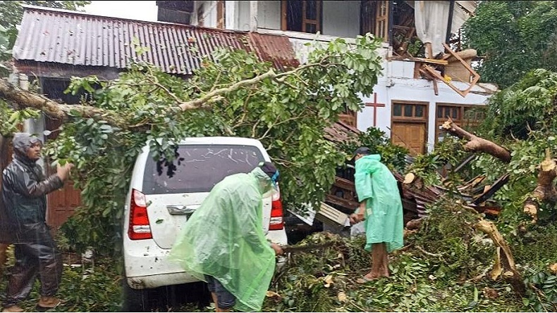 Hujan Deras dan Angin Kencang di Sulut, Sejumlah Pohon Bertumbangan